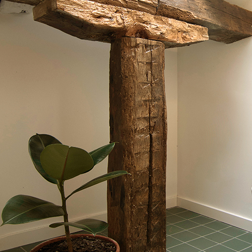 Paja y castañas en el suelo